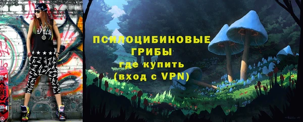 крисы Дрезна