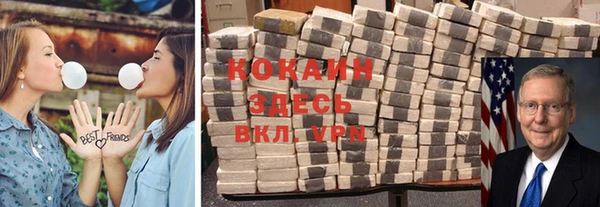 твердый Тайга