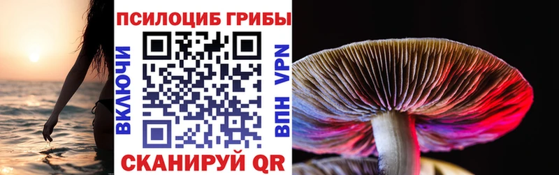 ОМГ ОМГ маркетплейс  Бикин  Псилоцибиновые грибы прущие грибы 